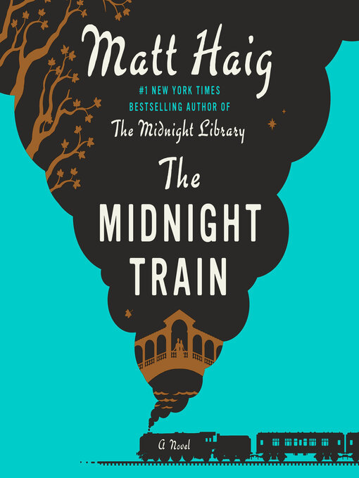 Cover image for The Midnight Train